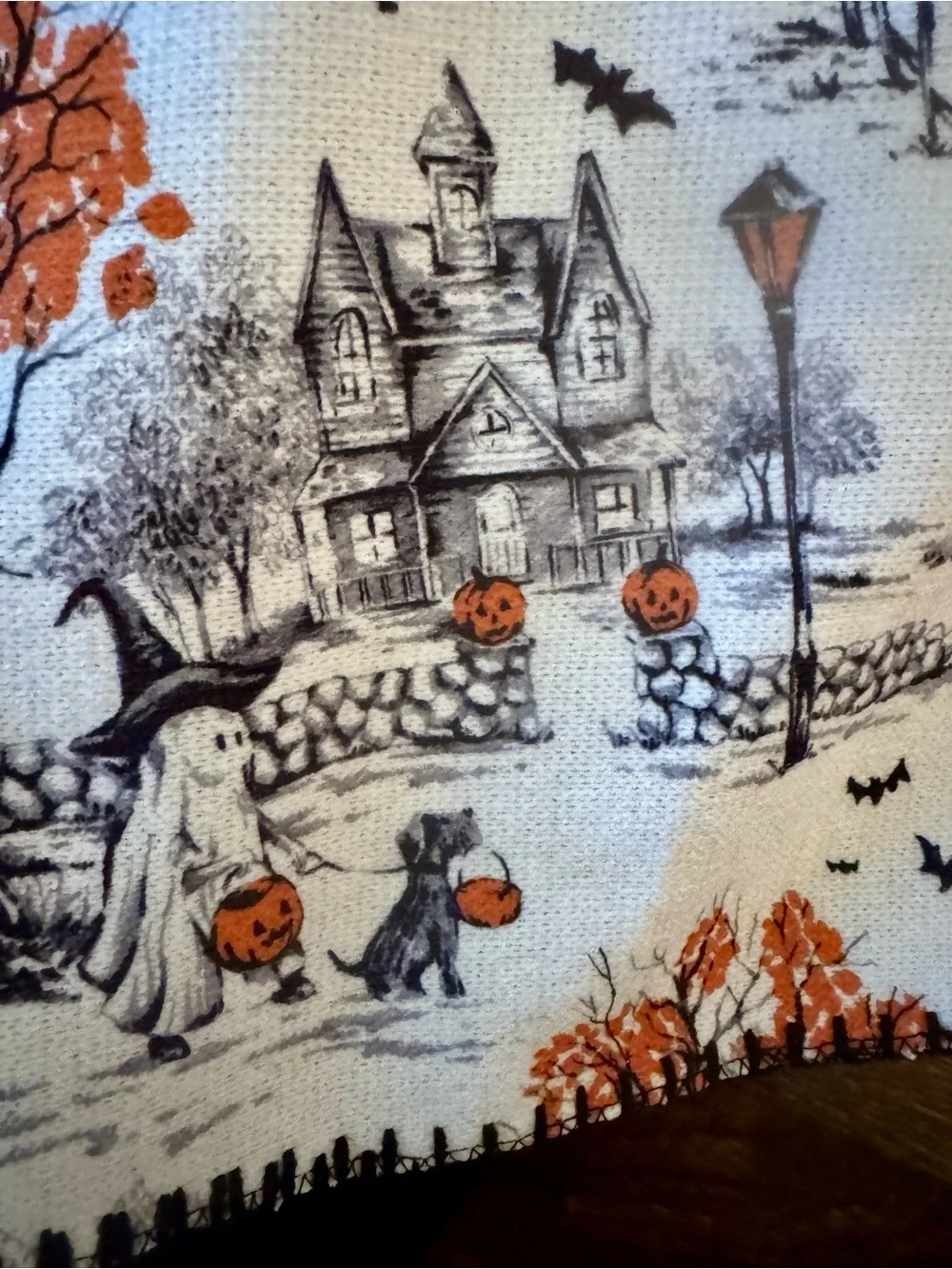 Nicole Miller Halloween Village Reversible Decorative Throw - Gorgeous Blanket!
